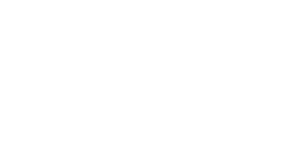 VIP 패스